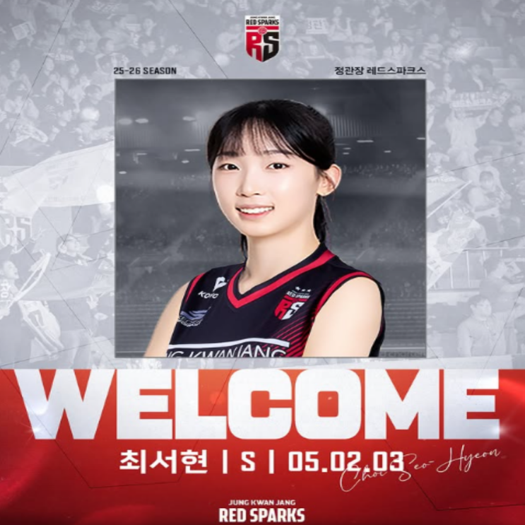  현대건설 떠난 최서현, 정관장에서 새로이 뛴다!! 이호빈도 추가영입!!(최서현 정관장, 최서현 세터, 연봉, 염혜선 안예림 김채나, 이호빈 정관장)