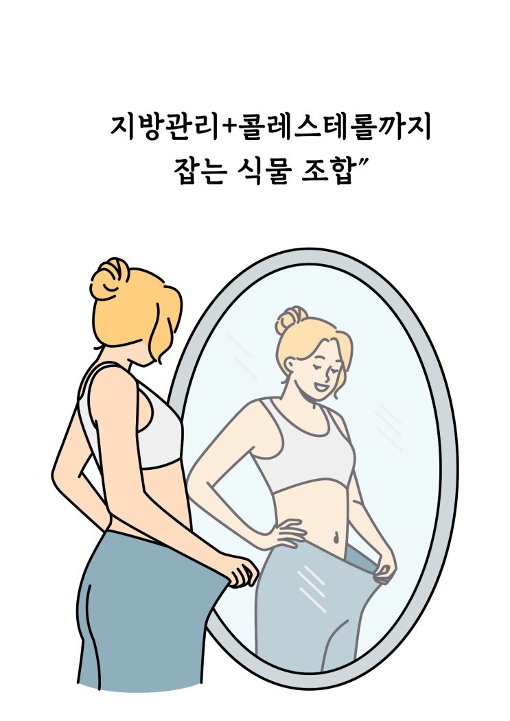  "흡수율이 다 했다! 지방관리+콜레스테롤까지 잡는 식물 조합"— 아티초크+베르가못 조합이 필요한 이유