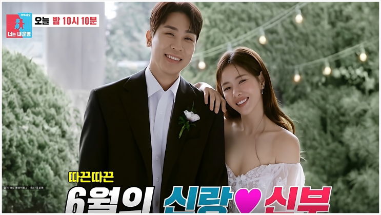 <b>박하나</b> <b>김태술</b> <b>결혼</b> 전 감독 해임 관계가 더 단단해진 계기는?... 