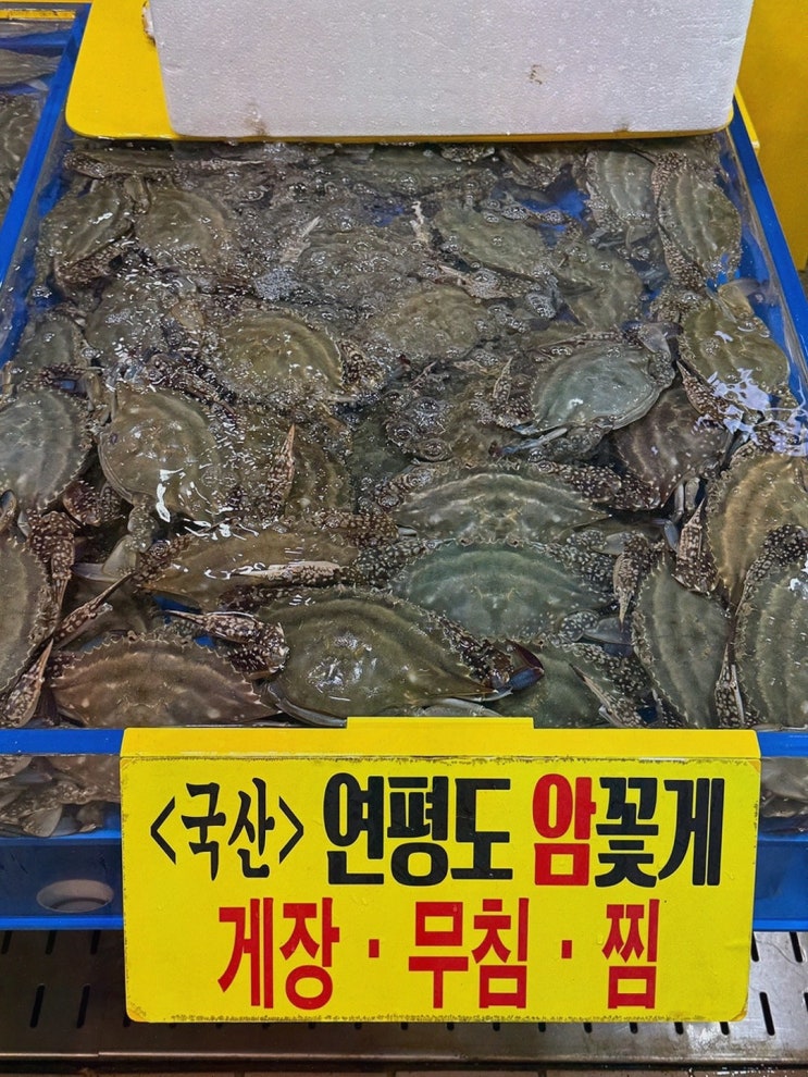  [해산물리뷰] 송도상회, 신선한 꽃게와 가족의 따뜻한 정이 느껴지는 곳, 연안부두 꽃게 추천