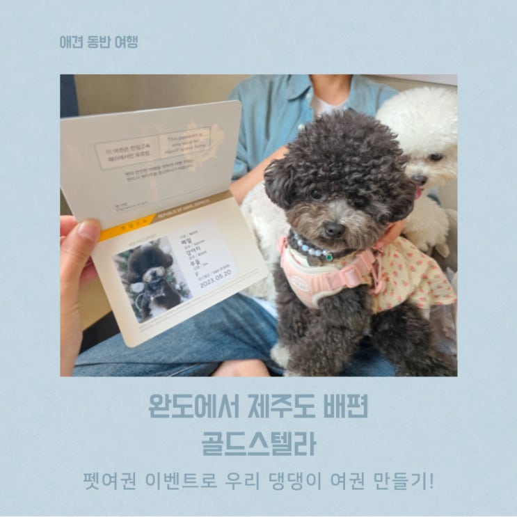  한일 고속훼리 골드스텔라 펫여권이벤트 강아지랑 완도에서 제주도 배타고가기