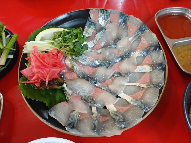  [제주도/함덕] 고등어회 인생 맛집 백록집 제주함덕점 내돈내산 후기