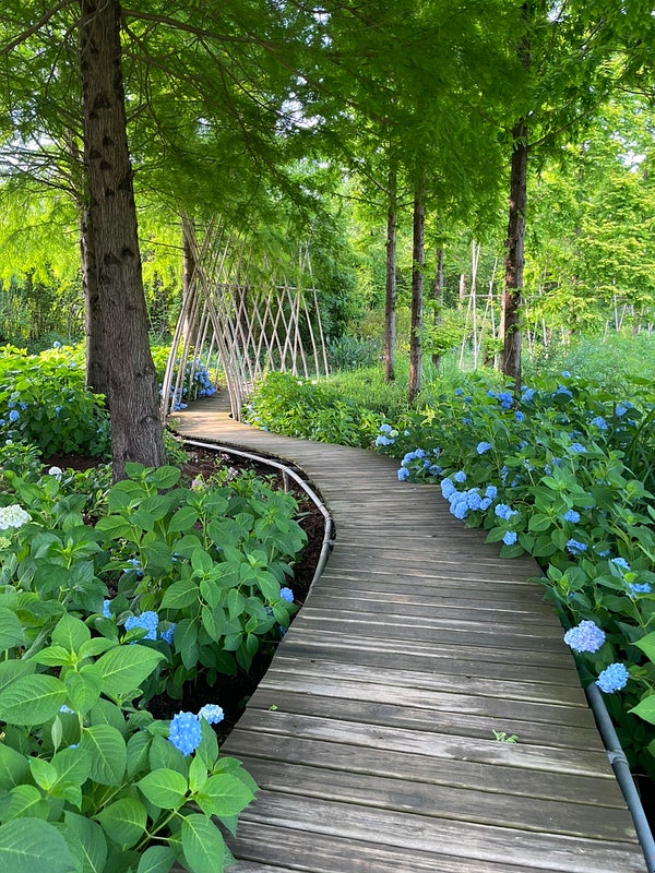 사진 5