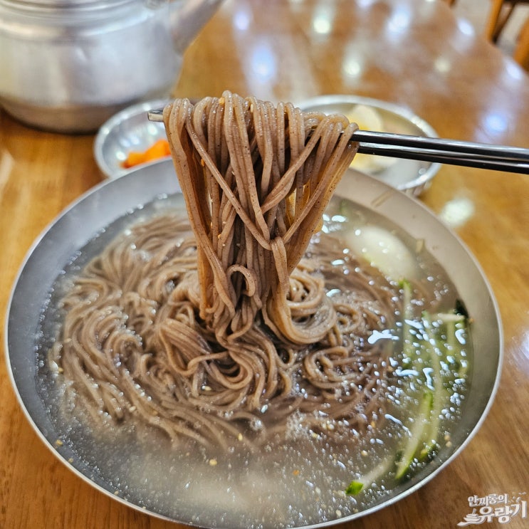  용인 천서리봉천막국수 시원한 동치미막국수 한그릇