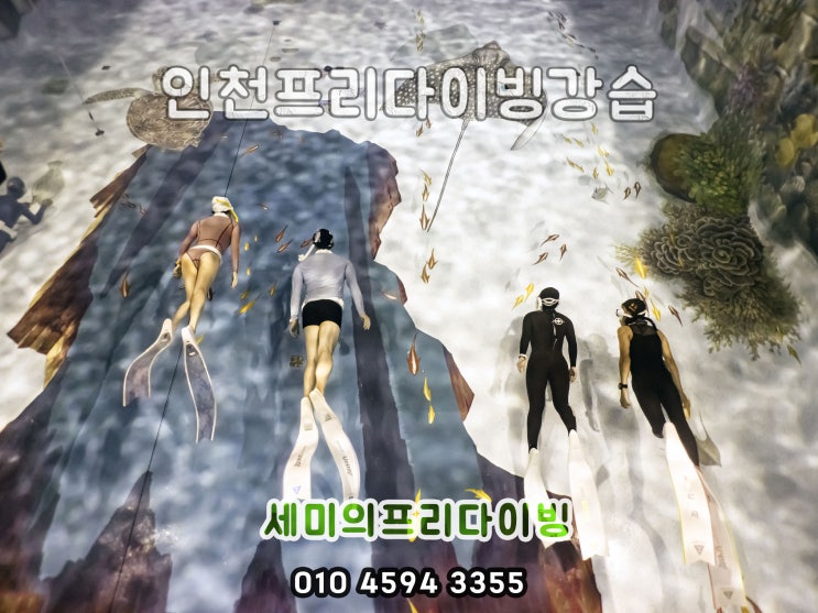  버디스포츠 프리다이빙  유치원/초등/중학생 청소년 프리다이빙 자격증 그 이후엔?