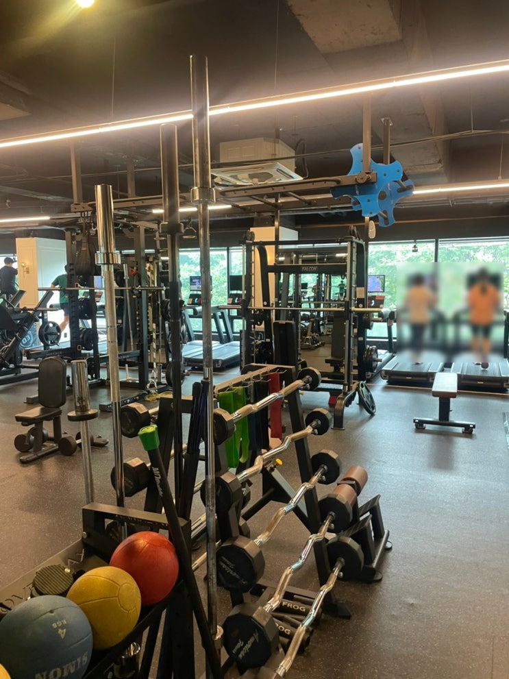  [내방역 헬스] 휘트니스모션 방배동헬스 내방역PT 이용 후기! 체형분석 및 시설, 한강런 가능한 방배동PT