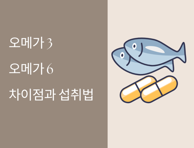  오메가3와 오메가6 차이점 효능 성분 부작용까지 제대로 알고 먹자!