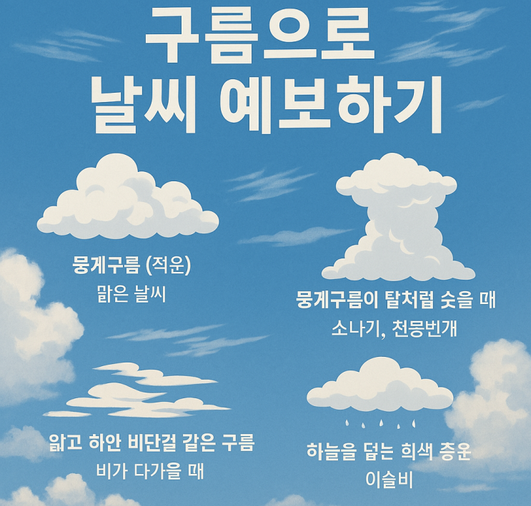  ️ 구름은 하늘에 뜬 자연의 암호 ️ 여름철 구름은 왜 뭉게구름이 많을까?️