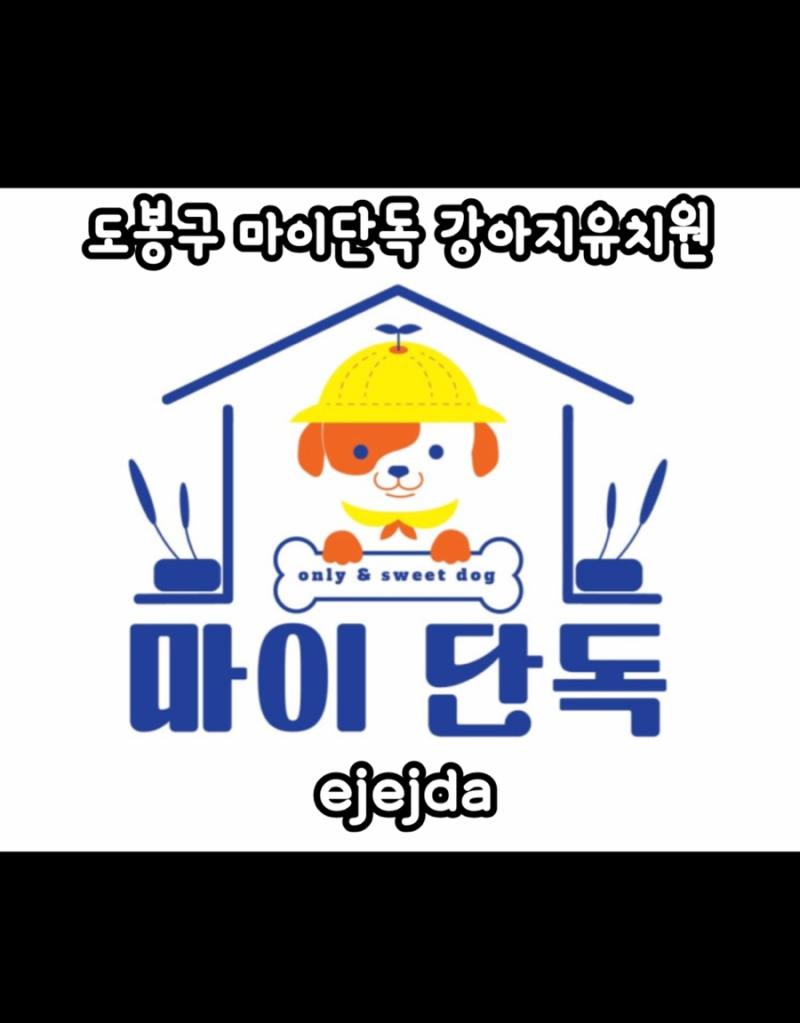 사진 3