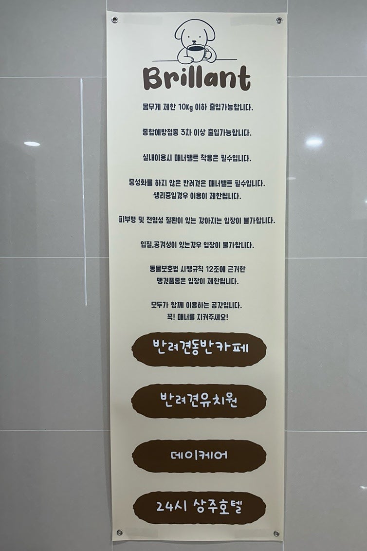 브리앙뜨애견카페&유치원&놀이방&애견호텔