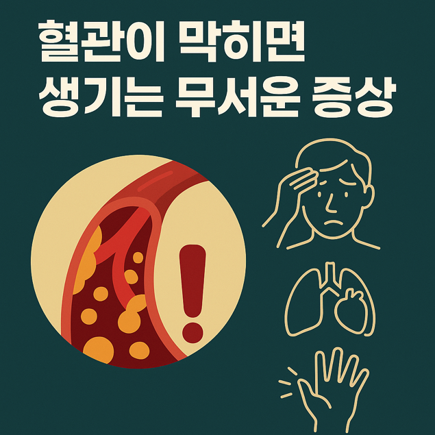  혈관이 막히면 생기는 무서운 증상들