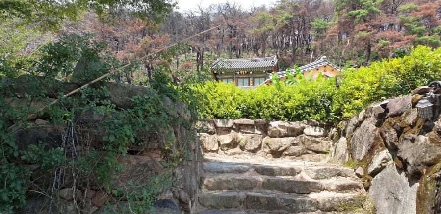 천등산 사진 6