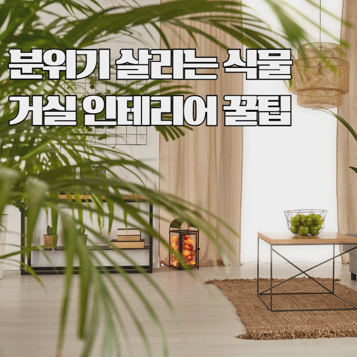거실 분위기 바꾸는 식물 인테리어 꿀팁