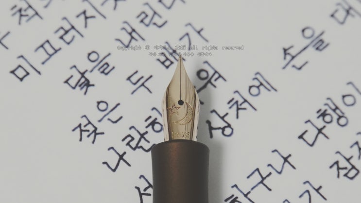  무사하구나 다행이야 (ft. Kaweco 만년필 필사)