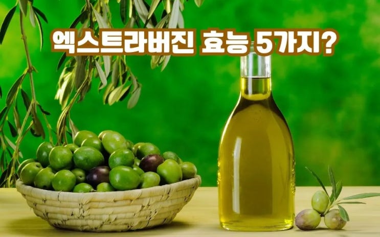  올리브오일 엑스트라버진 효능 5 + 보관법 가열까지