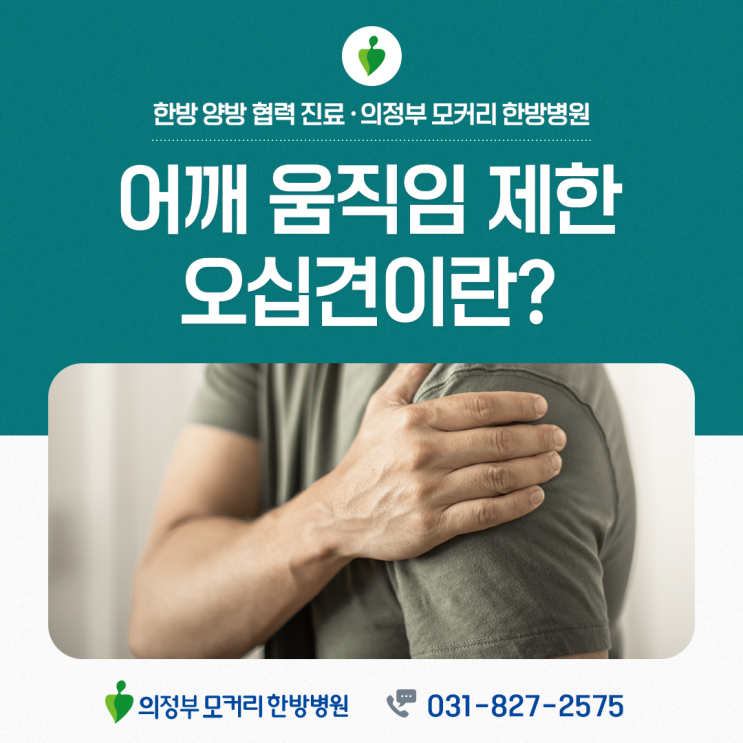  의정부 오십견, 단순 통증보다 ‘움직임 제한’이 핵심입니다