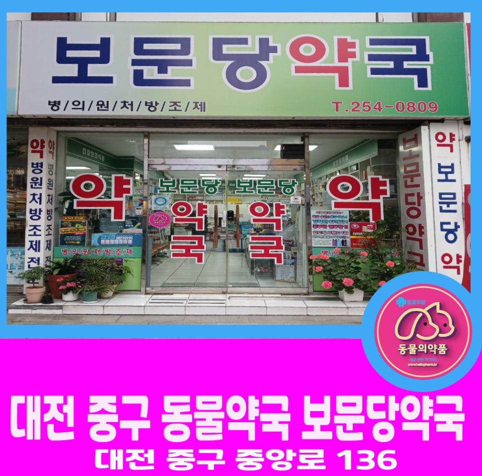 보문당약국 사진 1