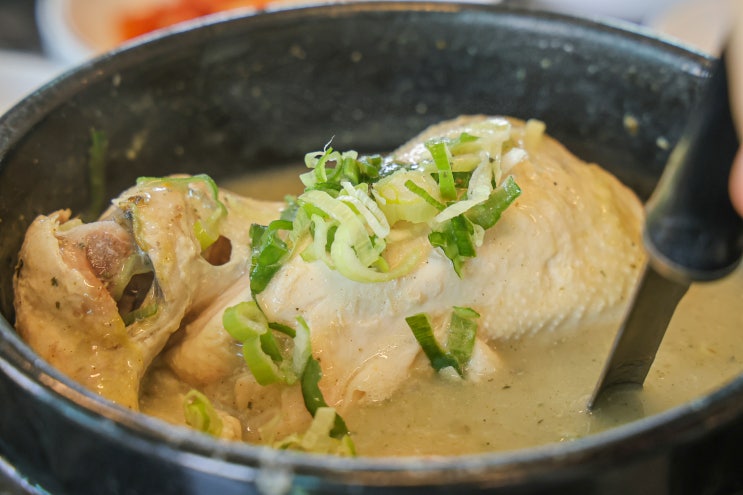  제주도 중문 점심 맛집 기억 남는 제주 중문 도민 맛집 중문식당