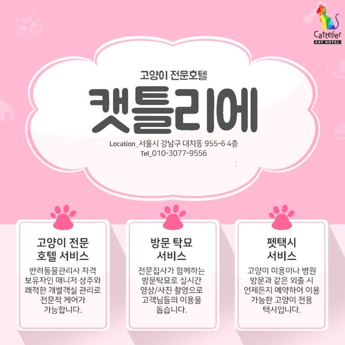사진 5