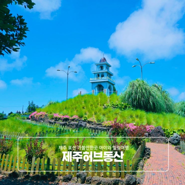  제주 표선 가볼만한곳 아이와 힐링여행 제주허브동산
