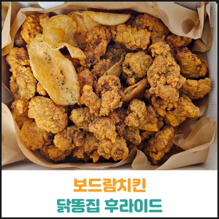 보드람치킨 닭똥집 후라이드 후기 보드람치킨 닭똥집 후라이드 후기