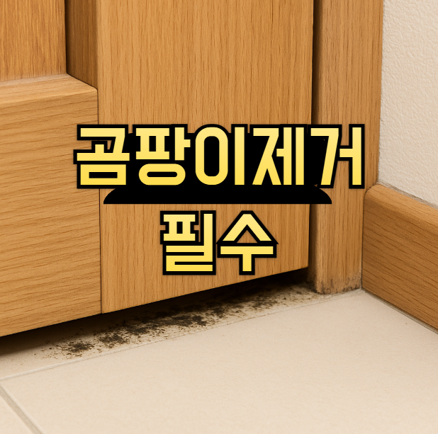  방문 틈 곰팡이 제거 꿀팁 7가지! 집에서 간단히 해결하는 청소법