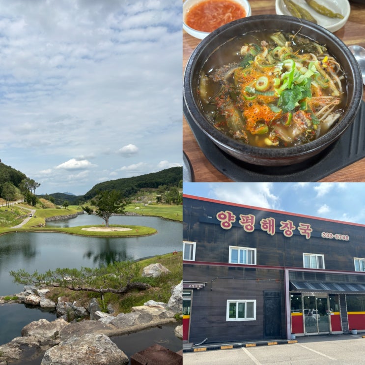  세현cc 맛집 양평해장국 해솔리아 주변 아침 내돈내산 카페까지