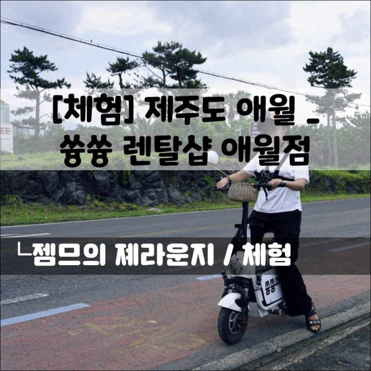  제주도 액티비티 쓩쓩렌탈샵 애월점, 제주 놀거리 찾는다면 전기 스쿠터!