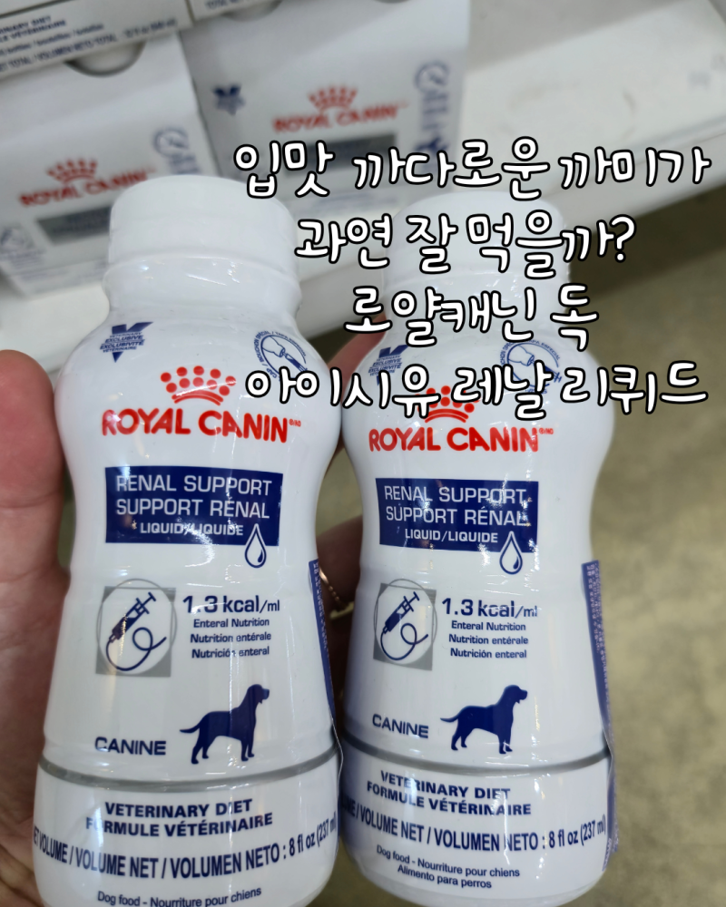 신부전 강아지 유동식 로얄캐닌 아이시유 레날 리퀴드 먹여본 후기