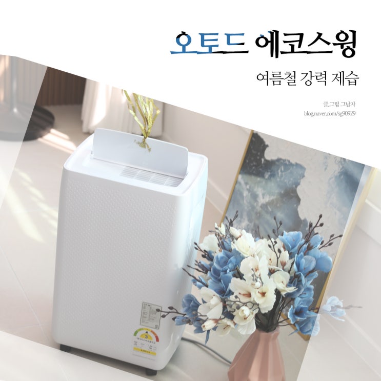 제습기 장마철 필수템 후기