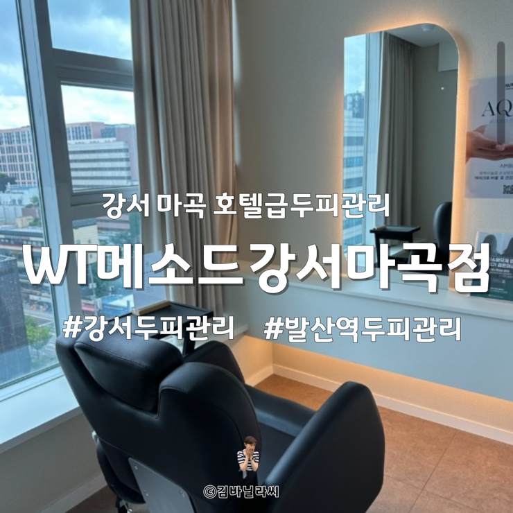 발산역 탈모 두피관리 WT메소드 강서 마곡점 여름 각질관리 추천