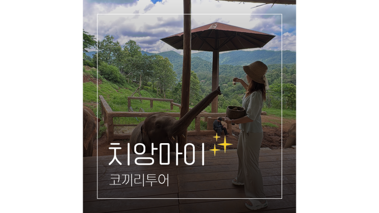  태국 치앙마이 여행 엘리핀팜 코끼리투어부터 몬쨈까지 코스 팁 총정리