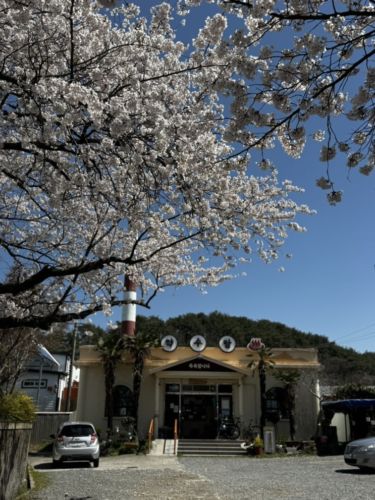  2504 여유를 되찾은 봄