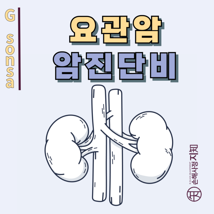 요관암 원인 – 암진단비 못 받는 이유와 100% 받는 법 - [보험금, BA+DA]