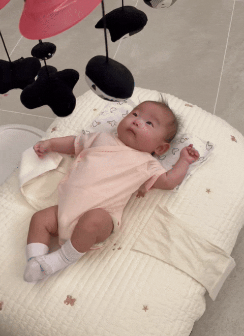 제이앤제나 역류방지쿠션 솔직후기 / 신생아 / 역방쿠 / 당근 비추