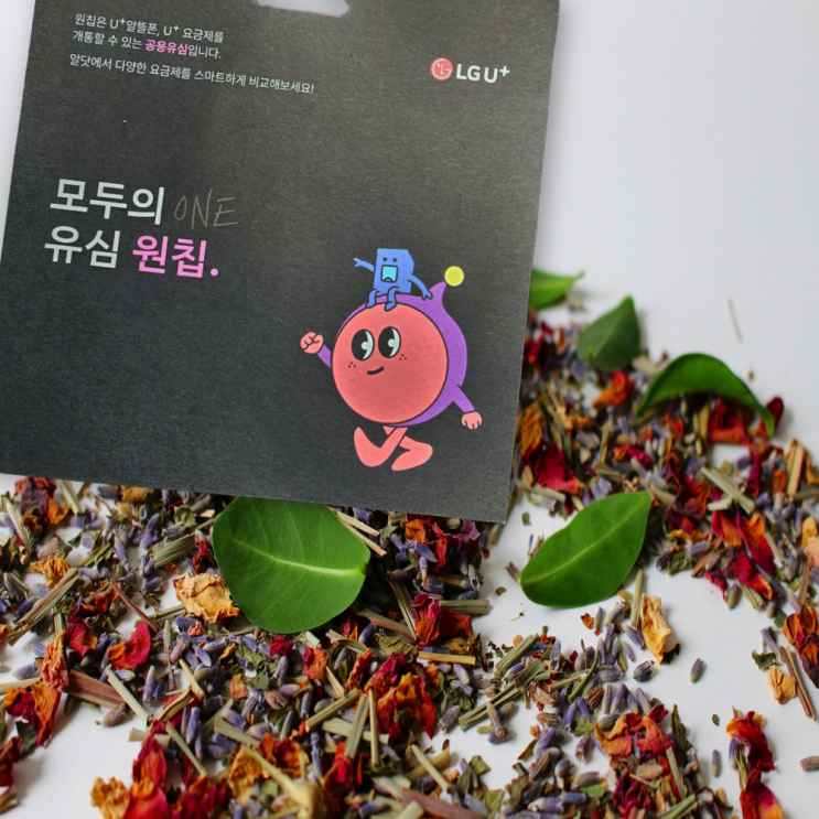  원칩 접수시간과 개통방법 정리