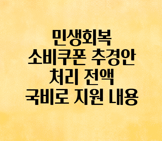 민생회복 소비쿠폰 <b>추경안 처리</b> 전액 국비로 지원 내용