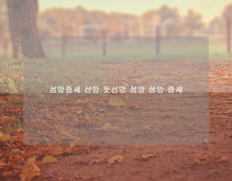 섬망증세 선망 뜻선망 섬망 섬망 증세