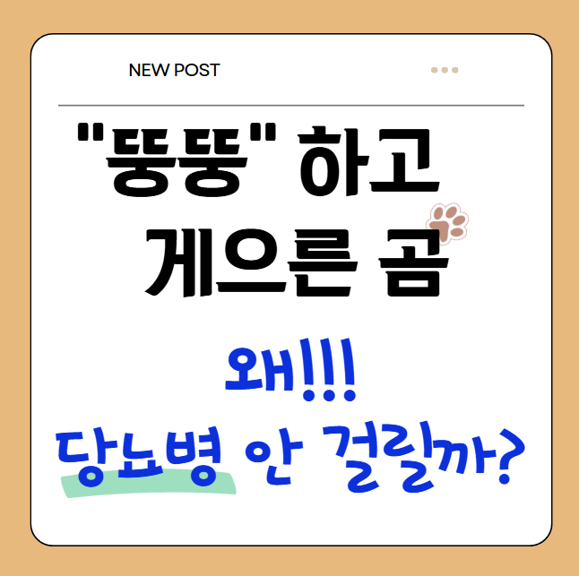  당뇨병 발 초기증상, 뚱뚱하고 게으른 곰은 왜 당뇨에 안 걸릴까? (경희수한방약국 분석 이야기)