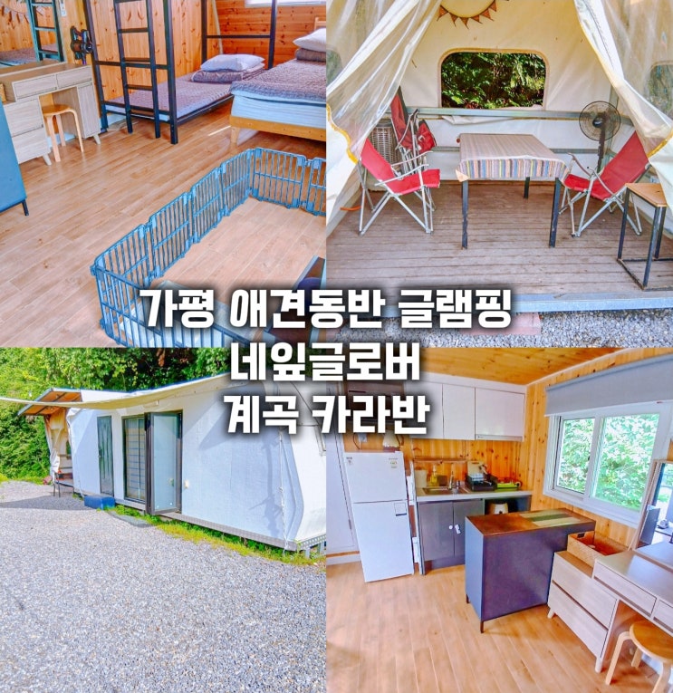  가평 애견동반 글램핑- 네잎클로버 계곡 카라반
