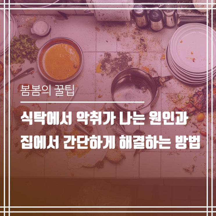  식탁에서 악취가 나는 원인과 집에서 간단하게 악취 해결하는 방법