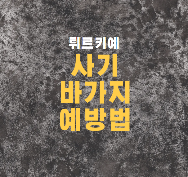  터키에서 사기 안 당하는 법 & 바가지 피하는 찐 꿀팁여행 전 필독!