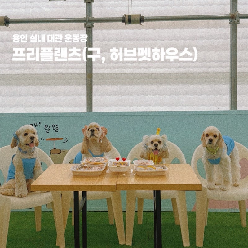 사진 4