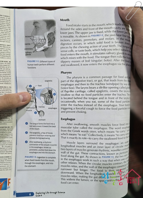 필리핀 유학, 태블릿 기반 라살조벨스쿨 수업