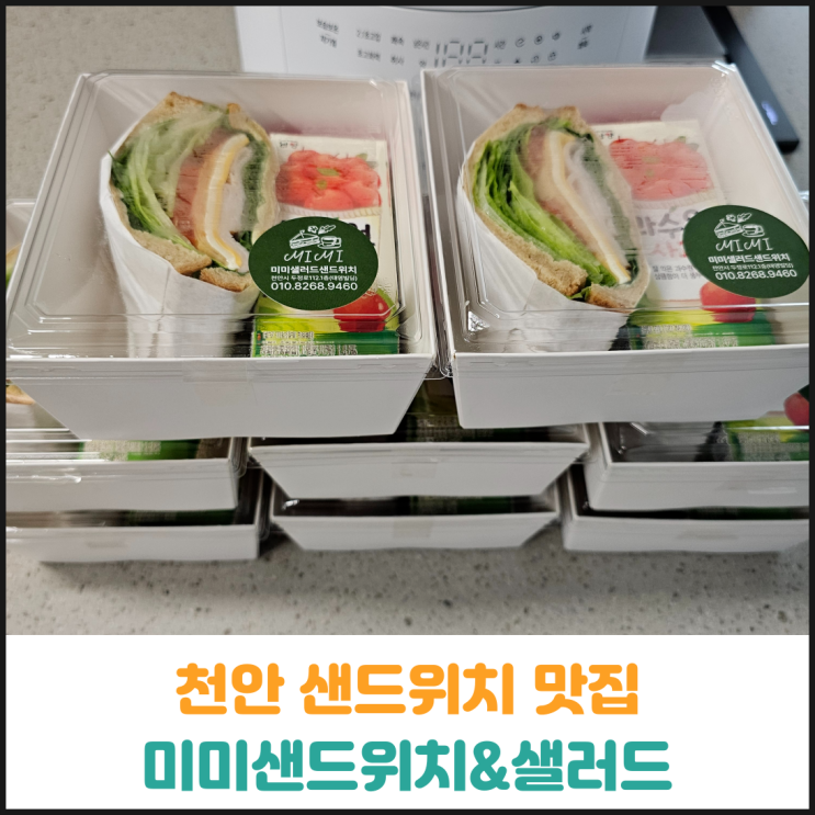 천안 샌드위치 단체주문 추천, 미미샐러드샌드위치 후기 천안 샌드위치 단체주문 추천, 미미샐러드샌드위치 후기