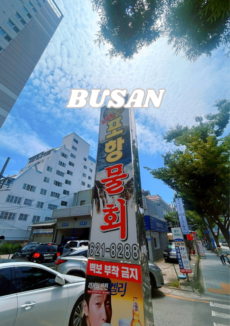  물회 매니아라면 부산 대연동 포항물회 맛집
