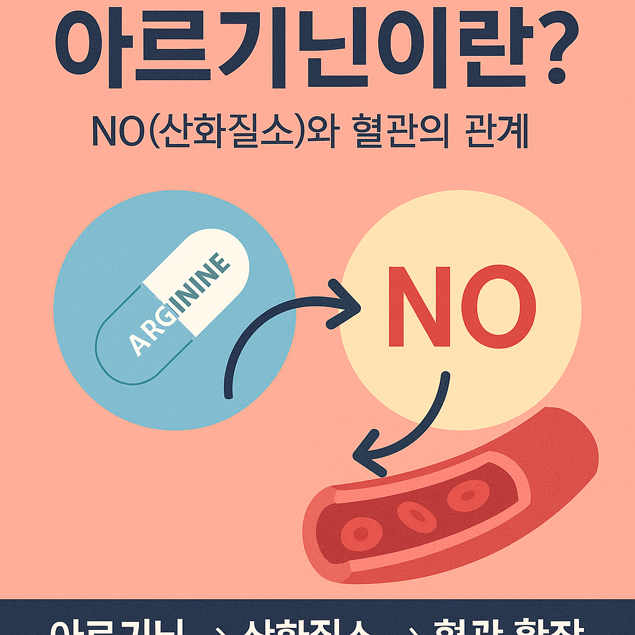   아르기닌이란? – NO(산화질소)와 혈관의 관계