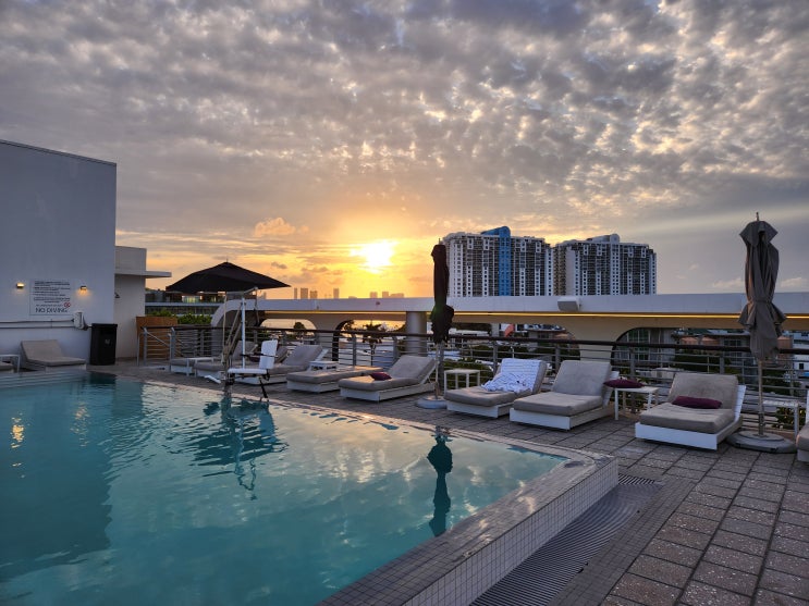  미국 플로리다 여행 마이애미 사우스 비치 호텔 킴튼 Kimpton Palomar South Beach 숙소
