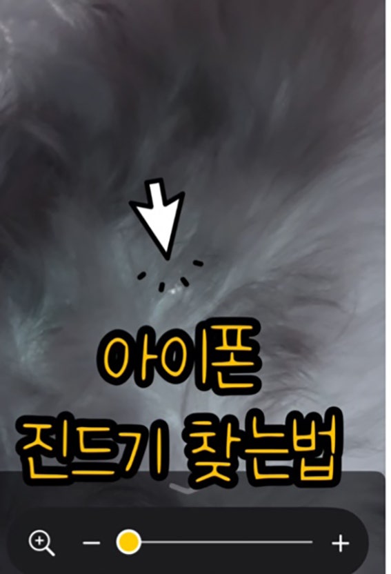 아이폰 확대기 진드기 찾는 방법