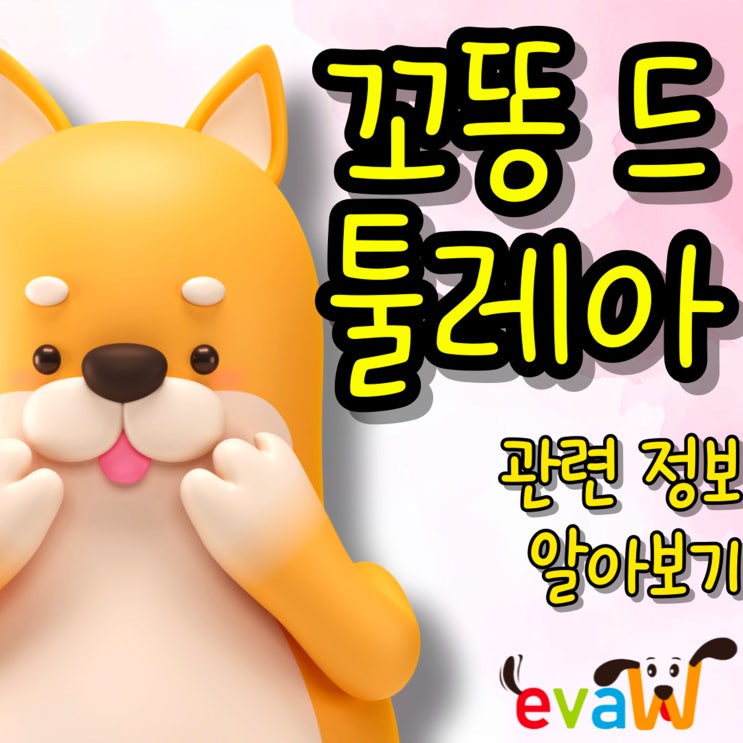  꼬통드툴레아 분양 전 알아야 할 특징과 성격, 분양가 까지 알아보기
